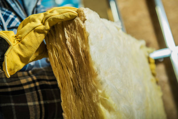 Best Insulation Maintenance and Repair in Mccordsville, IN